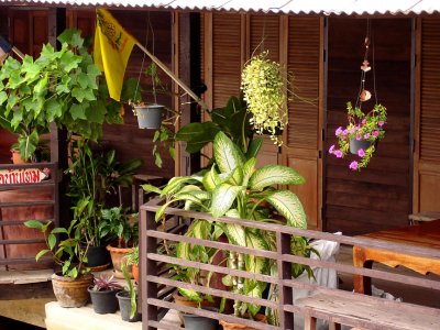 Veranda with plants