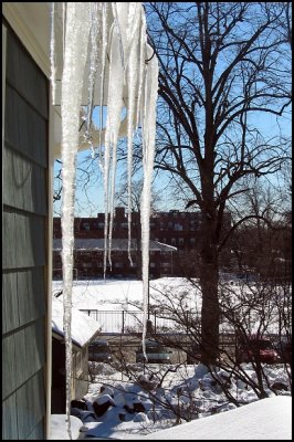 IMG_3013s.jpg