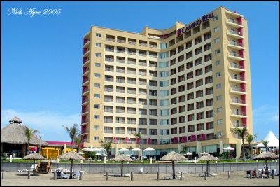 IMG_3390s.jpg