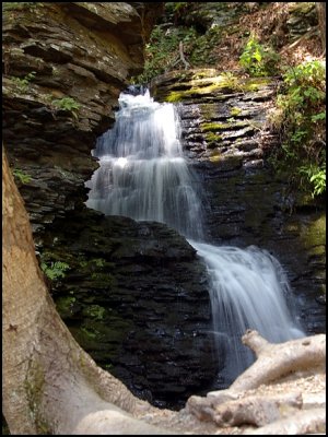Bushkill Falls