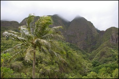 Iao Valley