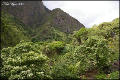 Iao Valley