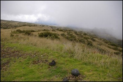 View from the top of the volcano