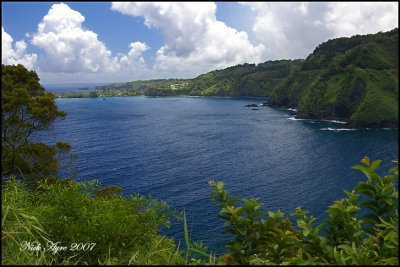 On the road to Hana