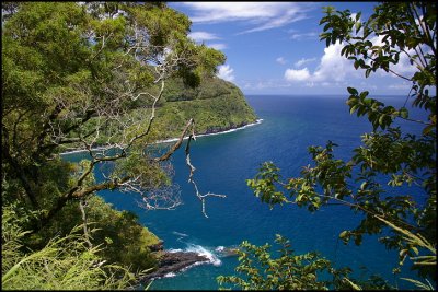 On the road to Hana