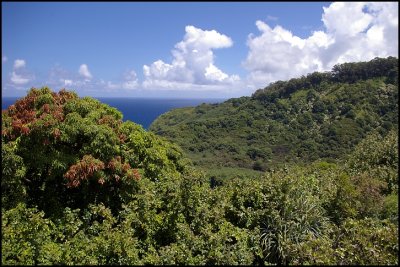 On the road to Hana