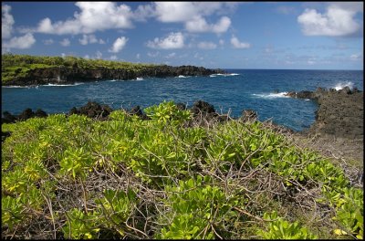 Black sand beach bay