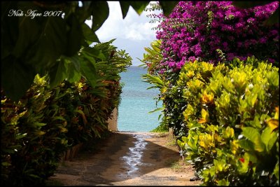 The passage way to Napili Beach