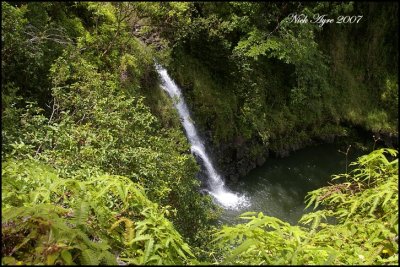 Waterfall on the road to Hana