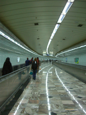 CIMG0284.jpg