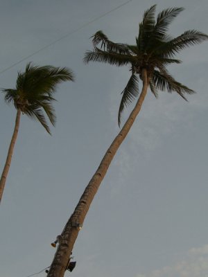 bora 213.jpg