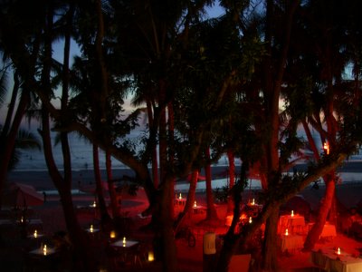 bora 257.jpg