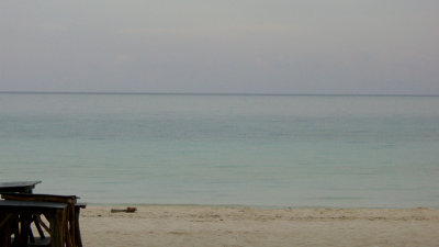 bora 403.jpg