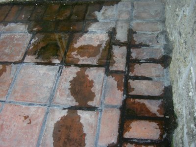 bora 2 004.jpg