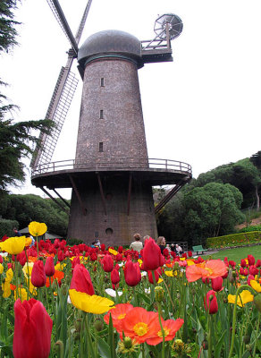 GGPark12.jpg