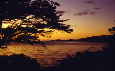 Golden Gate Sunset [35mm]
