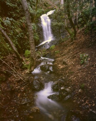 Uvas Canyon County Park