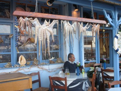 Octopus hanging out to dry at taverna, Plomaria, Lesvos