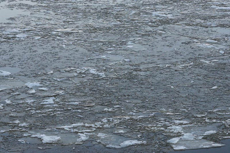 Light broken ice on the Moose River November 5