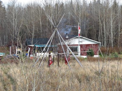 Moose hanging at Moose River Crossing