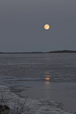 Full moon reflected on water and ice at dusk