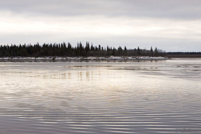 Moose River looking to Butler Island
