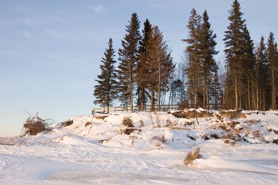 South End of Charles Island 2007 January 27