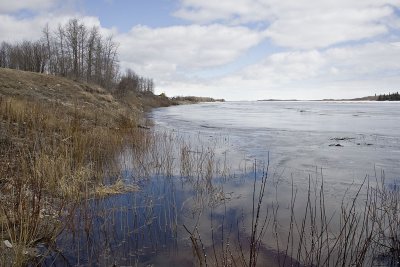 Downriver view along shoreline