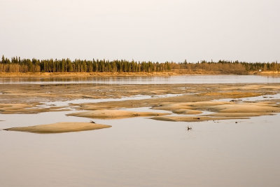 Sandbar