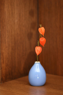 Still Life - Jan 5