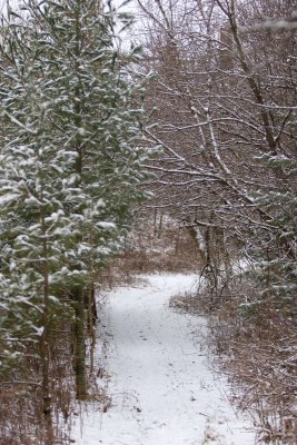 The Path (facing the other way)