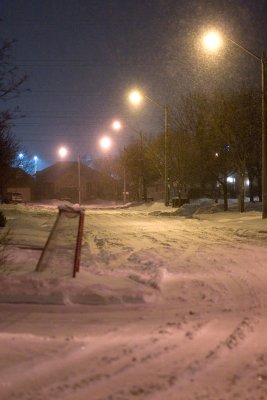 Snowfall - January 19