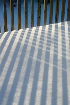 Late Afternoon Shadows - January 20