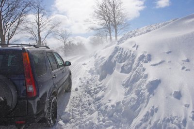 Snow Drift