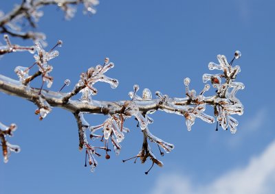winter_2007