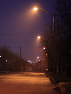 Misty evening - April 27