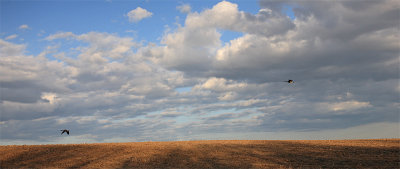 Neutral Density Filter Shot - May 2