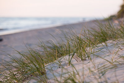 Dunes - May 19