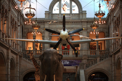 Kelvingrove Museum, Glasgow - June 3