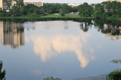 View from balcony #2 - July 11