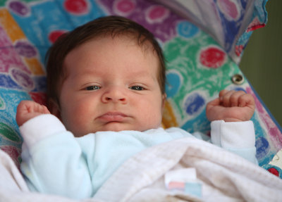 Baby Shea - August 11