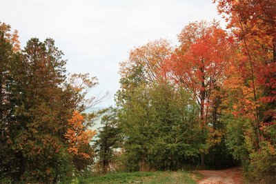 Grey Day - October 1