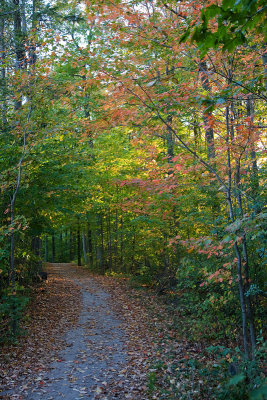 My Jogging Trail - October 3