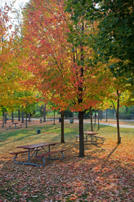 Waterloo Park - October 5