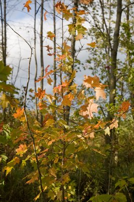 Ray of Light - October 13