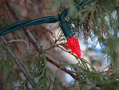 Outdoor light - December 12