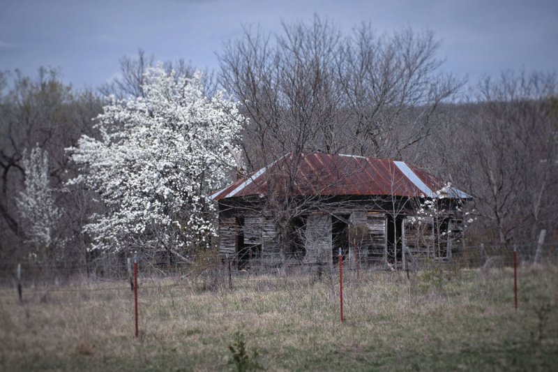 March 14 2007