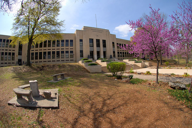 03242007-019.jpg
