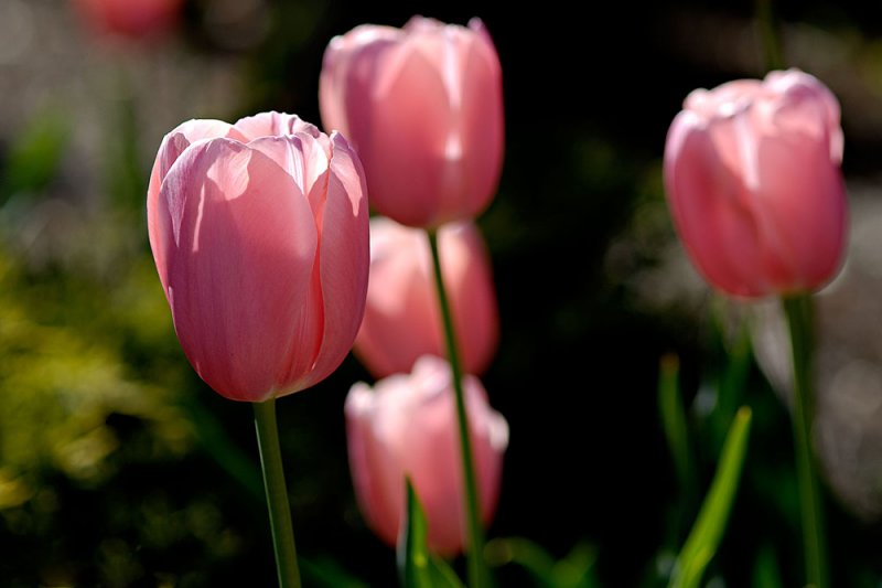 01042007-069.jpg