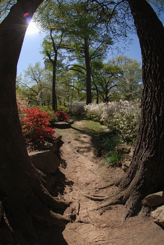April 4 2007